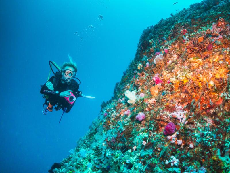 Perfect Website Images (Small-Landscape) - Template